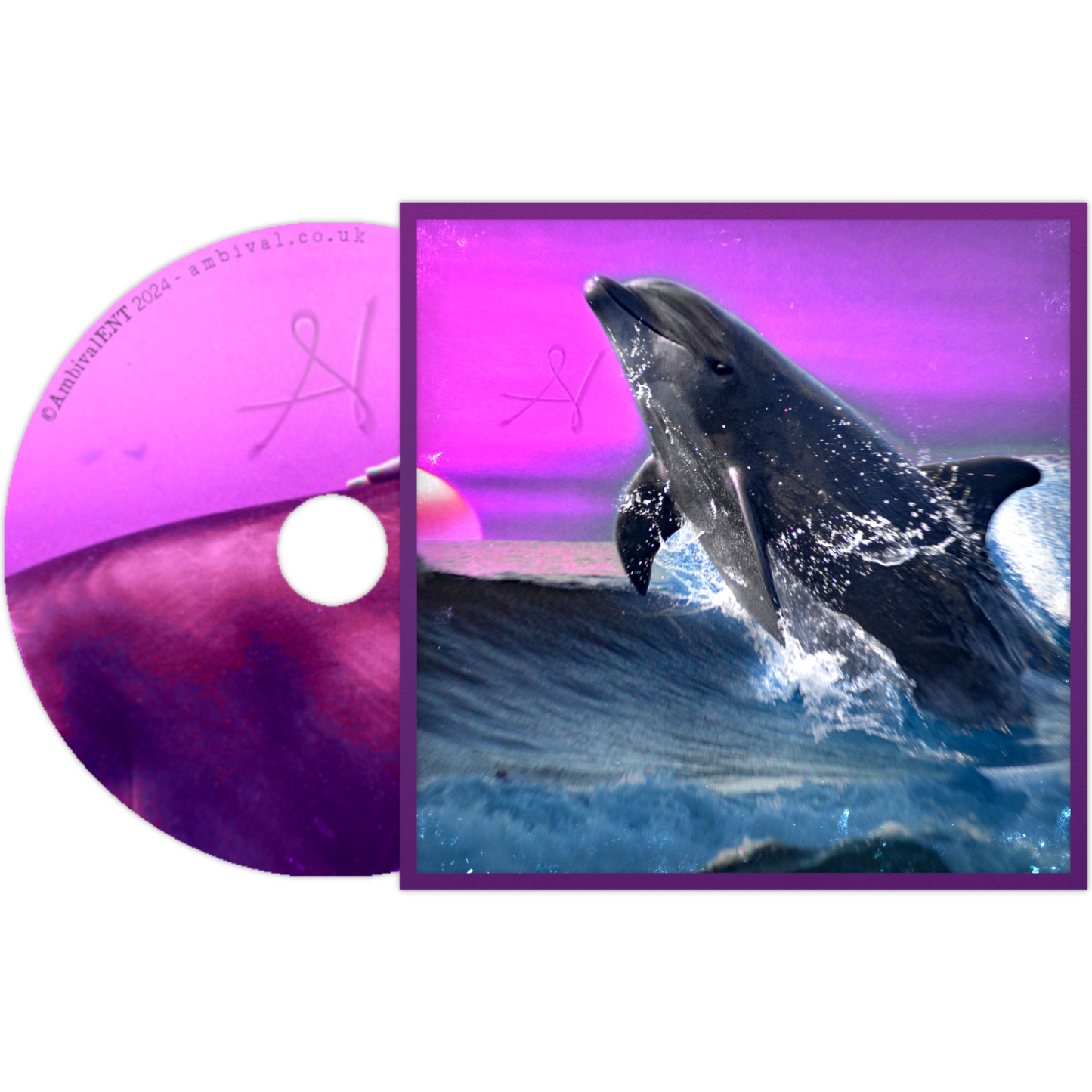 "The Dolphin Zone" - EP (CD)