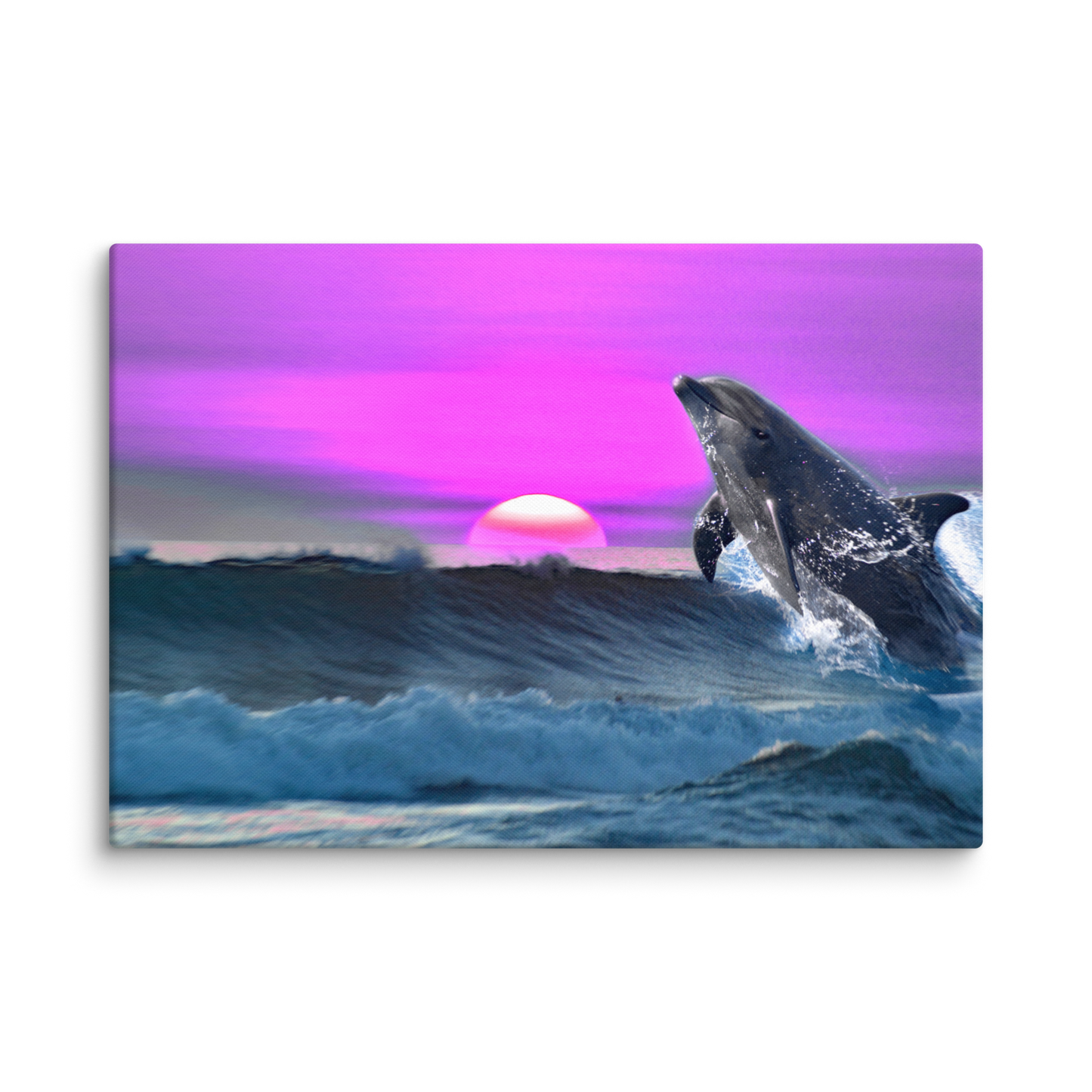 "The Dolphin Zone" - Matte Canvas