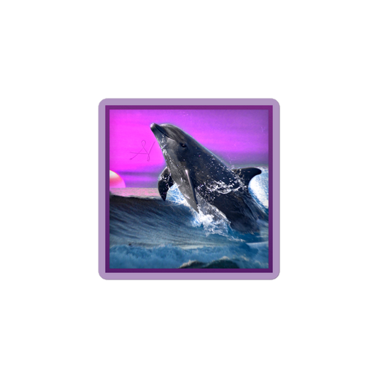 "The Dolphin Zone" - Sticker